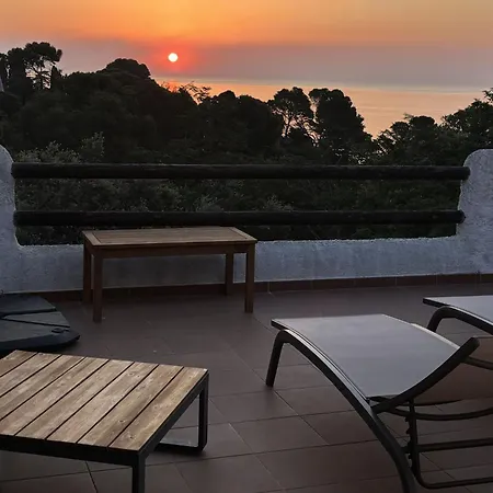 Vila La Falconera